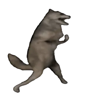 🤩 wolf, dancing, animal, meme, funny, wildlife whatsapp sticker