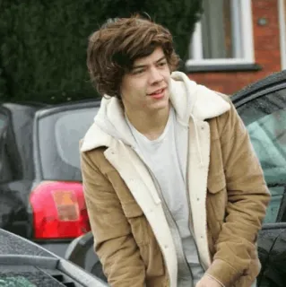 🎵 Harry Styles Harry Styles, singer, One Direction, celebrity, musician, pop star telegram sticker