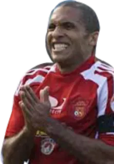 Vinotinto telegram stickers