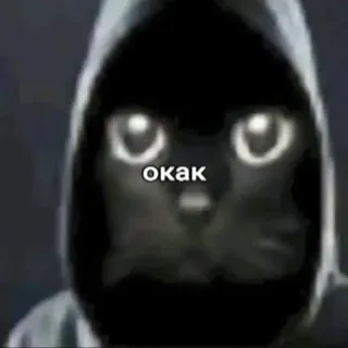 😶 окак gato, sudadera con capucha, divertido, meme, ruso telegram sticker