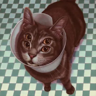 Cats do Chapp telegram stickers