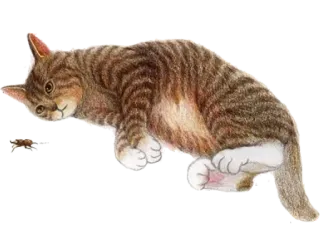 😕 고양이, 얼룩 고양이, 동물, 애완 동물, 고양이, 곤충, 쥐 telegram sticker