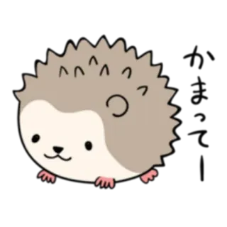 😐 erizo, animal, lindo, pegatina, dibujo animado telegram sticker
