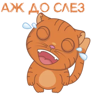 😂 АЖ ДО СЛЕЗ cat, crying, laughing, tears, funny, expression, emotion telegram sticker