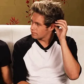 🌙 Niall Horan person, sänger, promi, mann, one direction, niall horan telegram sticker