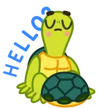 ❓ カメ, 動物, かわいい, 緑 telegram sticker
