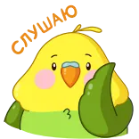 🙉 Ohhhhh bird, cute, parrot, expression, funny telegram sticker