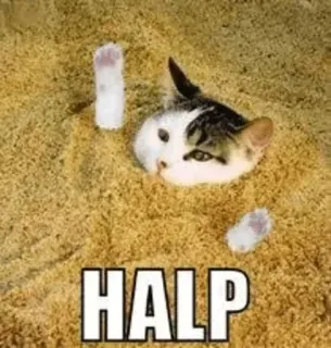 🐾 HALP kot, piasek, zakopany, pomoc, zwierzę telegram sticker