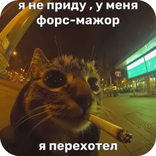 🫥 я не приду , у меня форс-мажор я перехотел telegram sticker