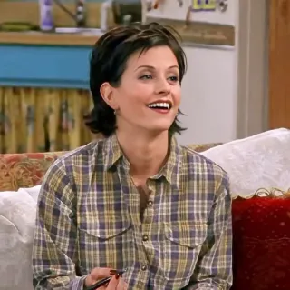 😀 Monica Geller Friends femme, portrait, brune, sourire, chemise à carreaux, série TV, sitcom whatsapp sticker