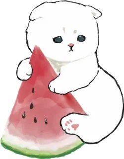🍉 cat, watermelon, cute, animal, kawaii telegram sticker