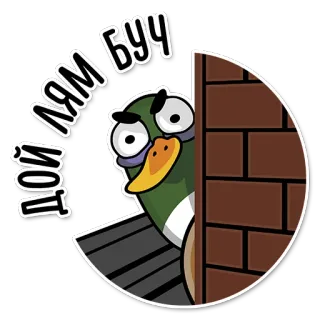 😠 ДОЙ ЛЯМ БУЧ kaczka, podglądanie, kreskówka, śmieszne telegram sticker