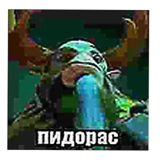 👍 пидорас offensant, insulte, injure, texte, russe, animal telegram sticker
