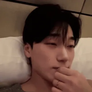 🪵 telegram sticker