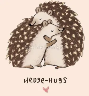 🤗 HEDGE-HUGS Igel, Umarmungen, süß, Tiere, Liebe, Freundschaft whatsapp sticker