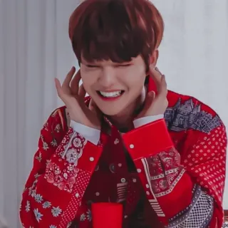 🐼 whatsapp sticker
