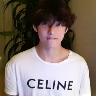 🪐 CELINE แฟชั่น, แบรนด์, เสื้อผ้า, เสื้อยืด, Celine telegram sticker