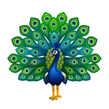 🦚