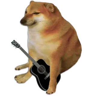 🐶 doge, หมา, กีตาร์, มีม, cheems, สัตว์ whatsapp sticker
