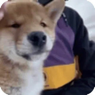 🌟