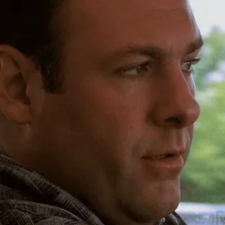 😨 Tony Soprano The Sopranos telegram sticker