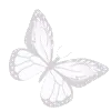 🦋