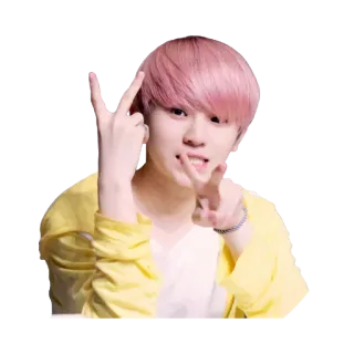 ✌️ kpop, idol, asia, rambut pink, orang, potret telegram sticker