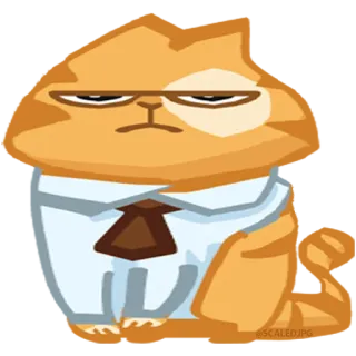 😐 cat, orange, business, suit, tie, grumpy, office, funny telegram sticker