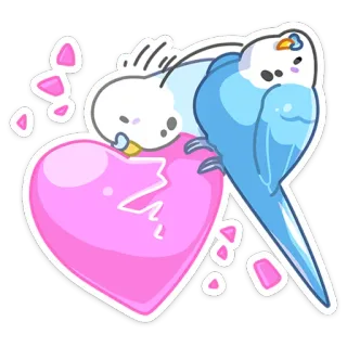 Попуги :: @stickroom whatsapp stickers