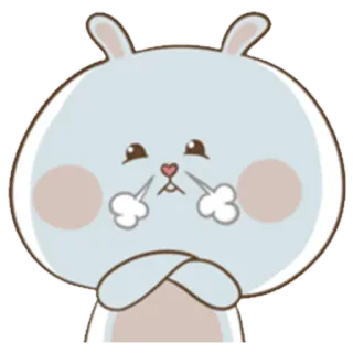 😤 conejo, conejito, lindo, animal, dibujo animado, pegatina whatsapp sticker