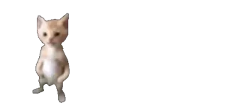 😶 cat, dancing, kitten, animal, pet telegram sticker