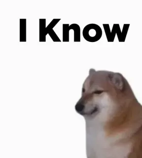 Cheems// @doge69 // @ZoldyckStickers telegram stickers