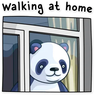 🏠 walking at home Панда, Ходьба, Дом, Мультфильм, Животное, Окно telegram sticker