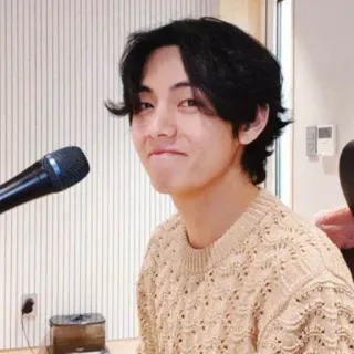 🐺 V K-pop, cantante, persona, uomo, V, BTS telegram sticker
