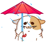 😢 ô, mưa, thời tiết, hoạt hình, bảo vệ telegram sticker