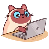 Веня @TgEmojis telegram emojis ⌨️