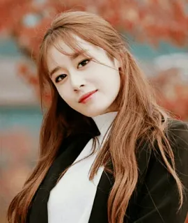 🕊 phụ nữ, chân dung, người, nữ, tóc nâu, Hàn Quốc telegram sticker