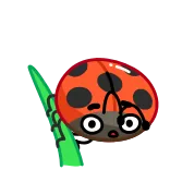 😨 mariquita, bicho, insecto, dibujos animados, lindo whatsapp sticker