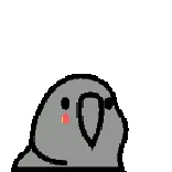 😭 птица, попугай, милый, животное, серый, наглый whatsapp sticker