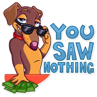 😬 YOU SAW NOTHING สุนัข, เงิน, แว่นกันแดด, การ์ตูน telegram sticker