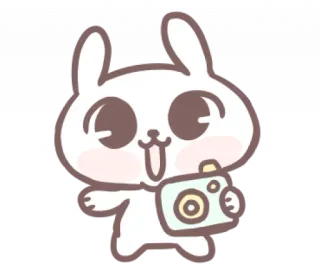 🎀 thỏ, hoạt hình, máy ảnh, động vật, dễ thương, thỏ con, kawaii telegram sticker
