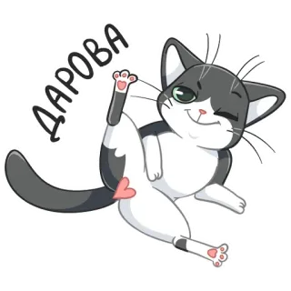 ✌️ ДАРОВА kucing, stiker, abu-abu, putih, kartun telegram sticker
