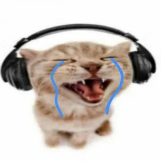 😥 gato, llorando, auriculares, meme, animal, triste whatsapp sticker