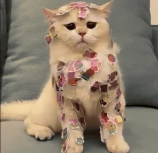 😔 kot, naklejki, zwierzę, słodki, śmieszny, zwierzę domowe, pupil, biały kot telegram sticker