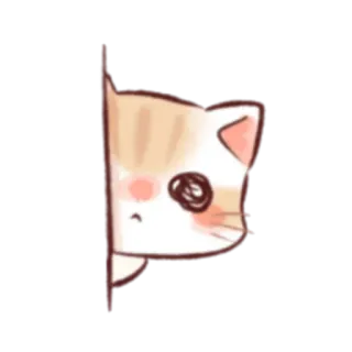 👀 кот, котенок, подглядывать, животное, милый whatsapp sticker