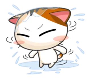 😣 chat, mignon, kawaii, animal, dessin animé whatsapp sticker