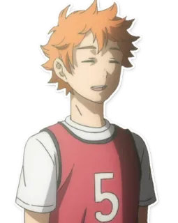 😇 Hinata Shoyo Haikyuu!! Аниме, Haikyuu, Хината, Шоё, Волейбол telegram sticker