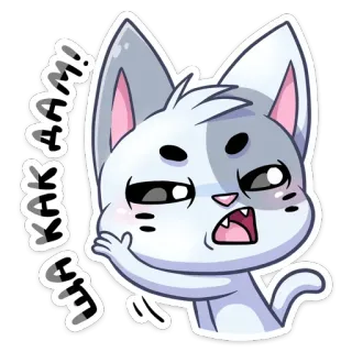 😡 КАК ЖИЗНЬ gato, animal, fofo, adesivo, russo telegram sticker