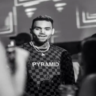 💡 Chris Brown Chris Brown, cantante, celebrità, bianco e nero, ritratto telegram sticker