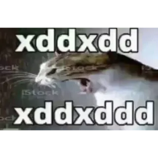 😀 xddxddd
xddxddd cat, meme, animal, funny, pet whatsapp sticker